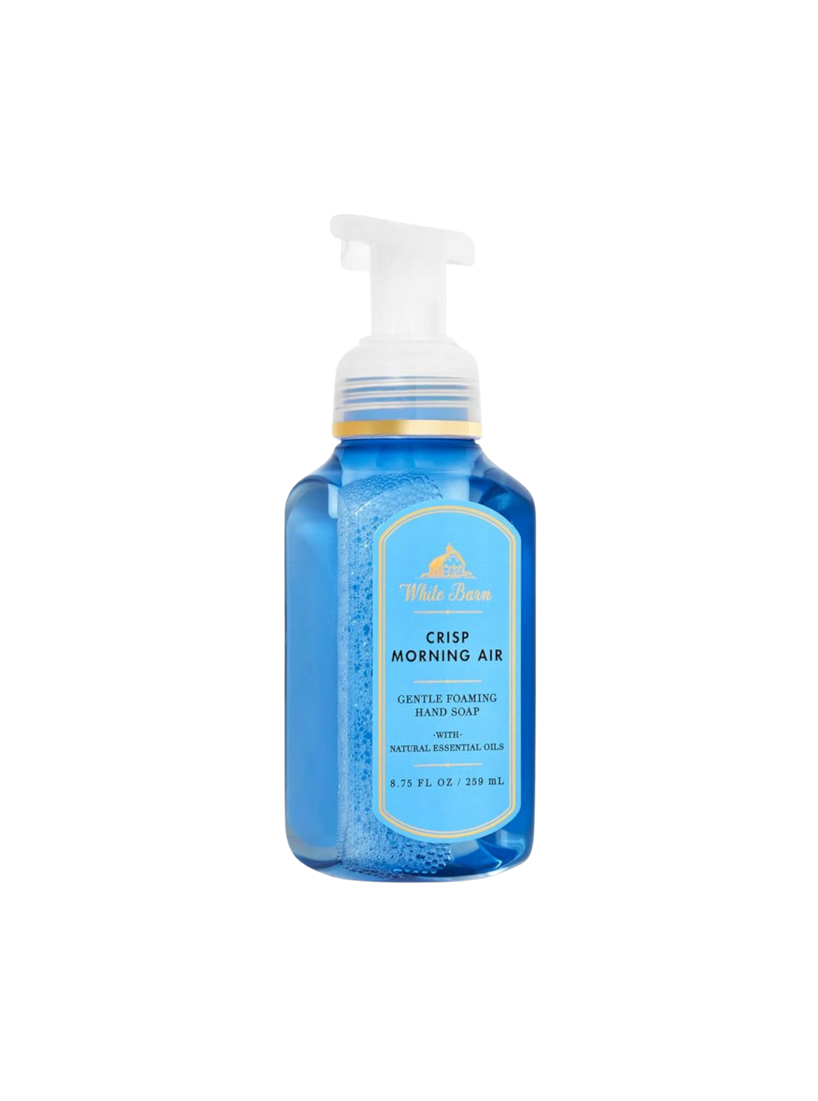 Bath & Body Works Crisp Morning Air foaming hand soap 259ml