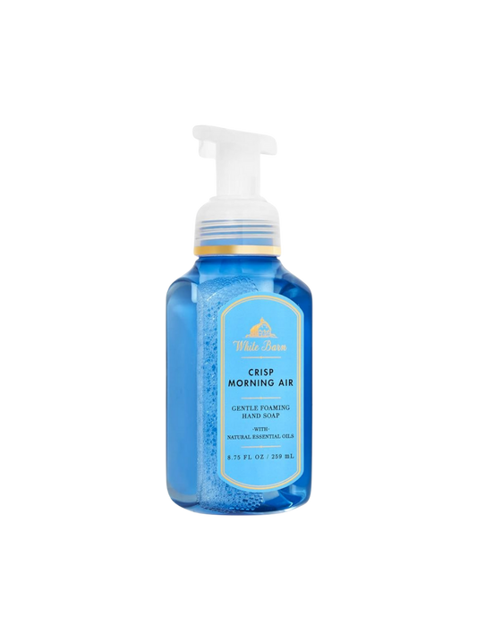 Bath & Body Works Crisp Morning Air foaming hand soap 259ml