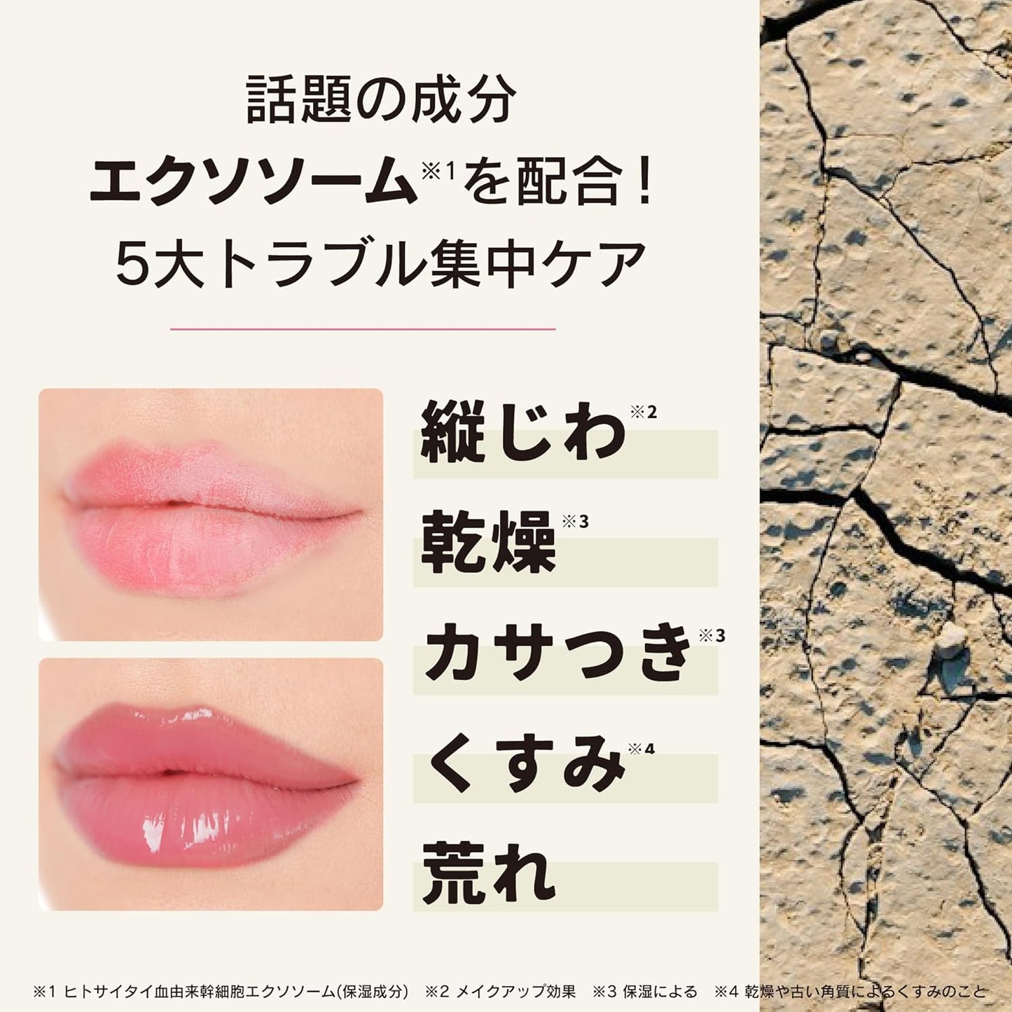 Immy Immy - Lip Serum Clear Amy Plumper Lip Gloss Lip Repair