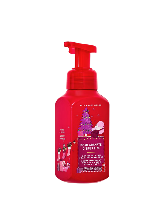 Bath & Body Works Pomegranate Citrus Fizz foaming hand soap 259ml