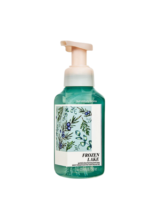Bath & Body Works - Frozen Lake - Gentle & Clean Foaming Hand Soap 259ml