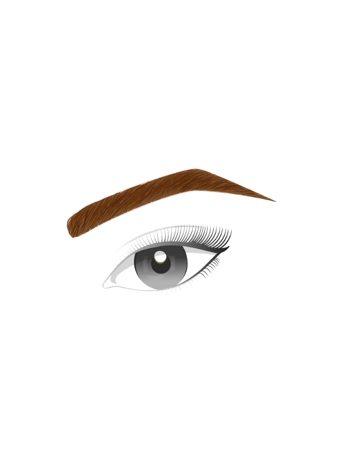 L'Oréal Paris - Brow Artist Sculpt