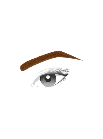 L'Oréal Paris - Brow Artist Sculpt
